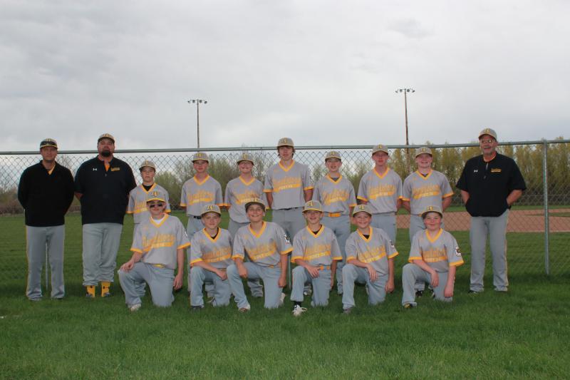 Bridger Valley Post 36 Regulators B,C 2019 Baseball Team The American
